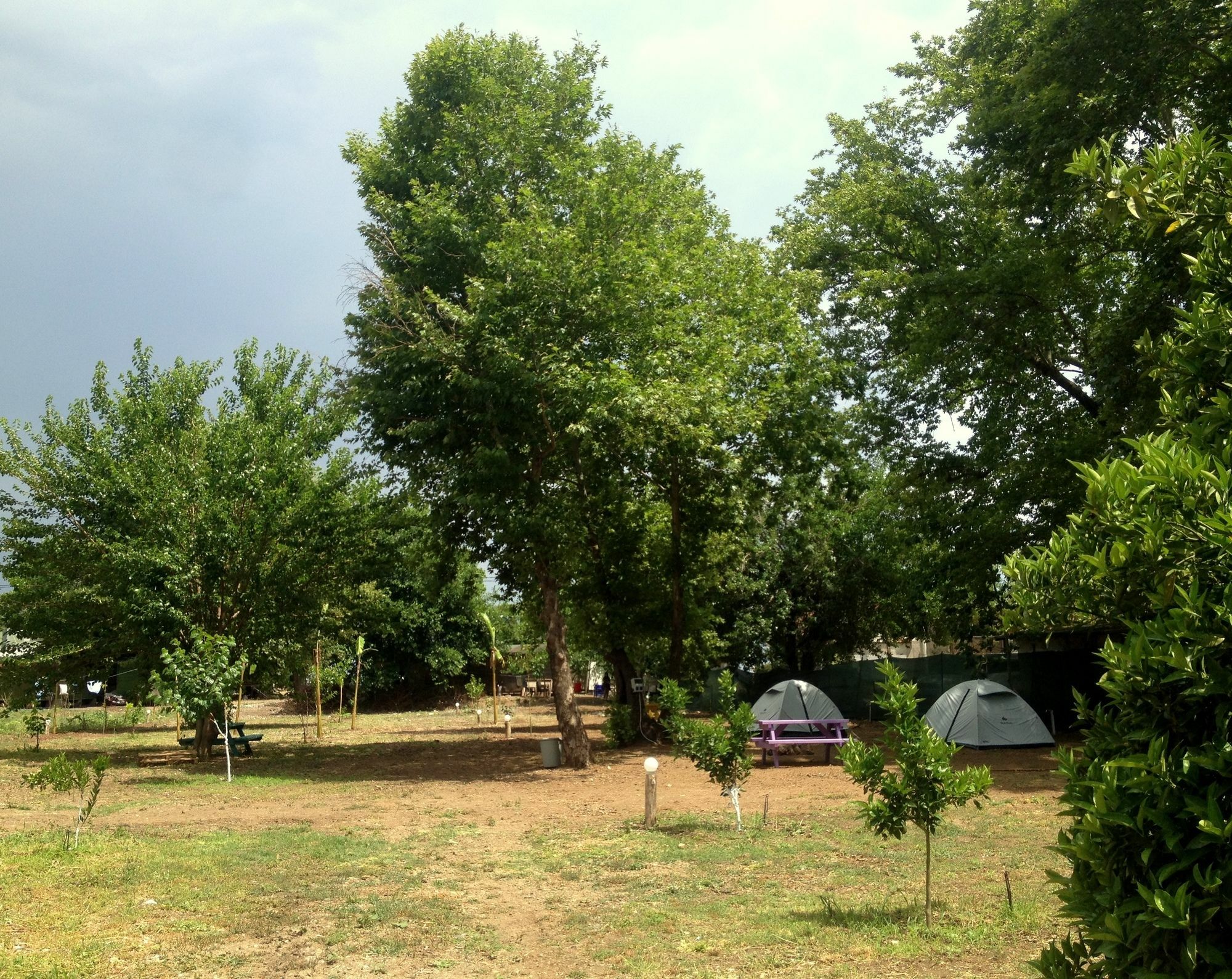 Çıralı Bellerofon Caravan & Camping מראה חיצוני תמונה